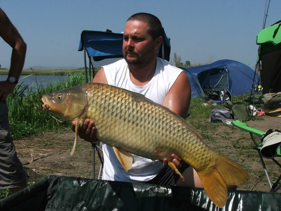 Lates 5-8 august 2013 ...cu prietenii - 1150215619774201423118361080476n.jpg